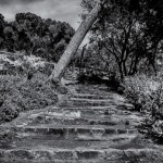 Parque Guell