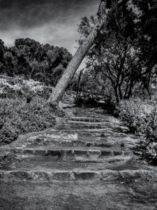 Parque Guell
