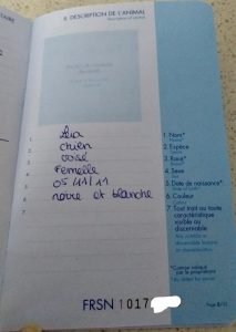 Pasaporte Europeo de mascotas